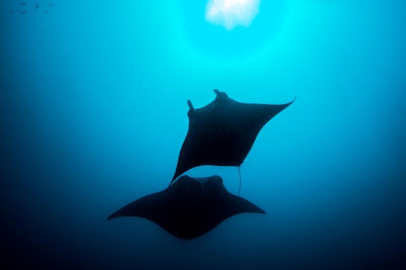 You And Me By Cocoon Maldives Muravandhoo Екстер'єр фото